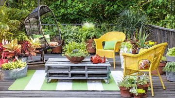 Gardening Ideas