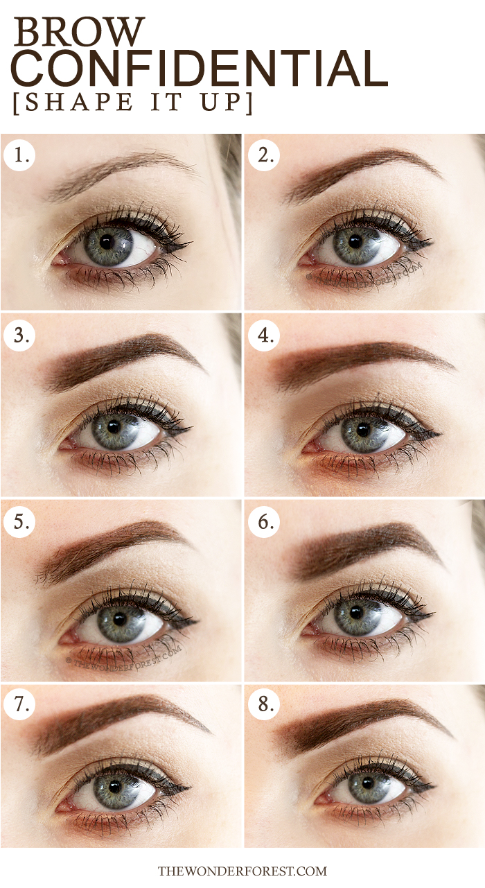 8 Different Styles of Eyebrow Shapes Fine and Feathered