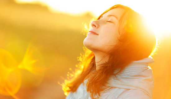 The autumn flower of sun flare.