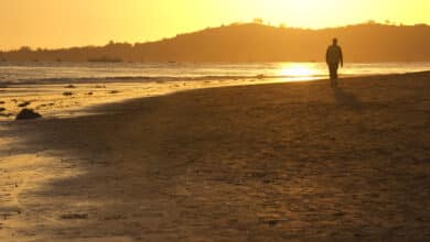 Ultimate Guide to Butterfly Beach, Santa Barbara: Sunset, Tides & Secret Tips